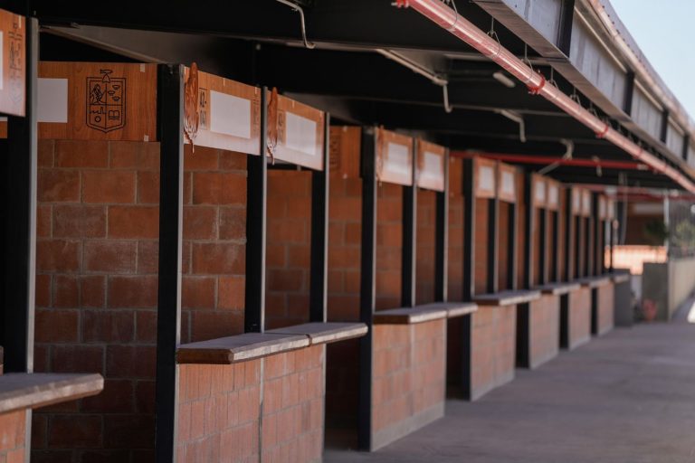 El mercado de Pátzcuaro se inaugurará el 9 de abril