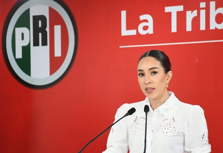 Gobierno federal es omiso por falta de acciones contundentes en contra de la delincuencia: PRI