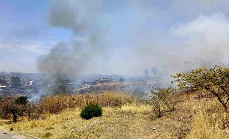 Reportan incendio de pastizal cercano a Villas Oriente, Morelia