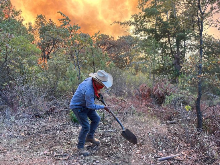 Dos brigadistas heridos por quemaduras al combatir incendios forestales en Zacapu