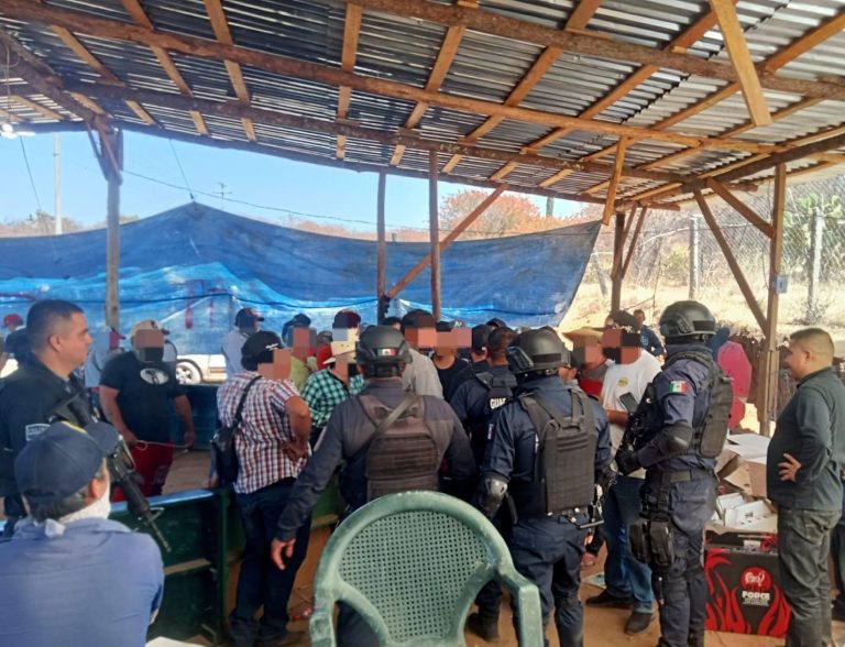 SSP desactiva en Hidalgo un palenque clandestino