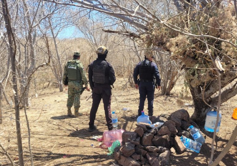 En Apatzingán, localizan 3 campamentos clandestinos