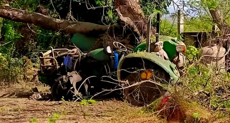 Jornalero herido tras estallido de explosivo tipo mina en Apatzingán