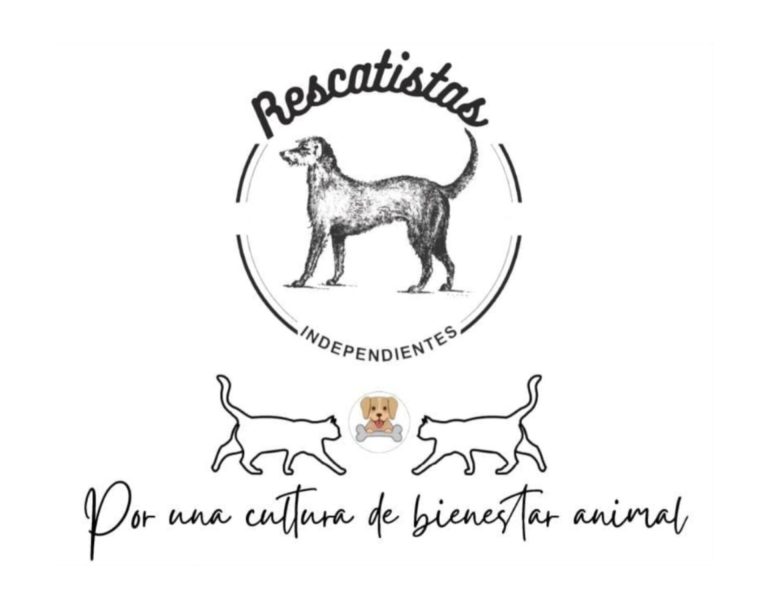 Activistas exigen atención tras envenenamientos masivos; Paracho en el top ten de crueldad animal