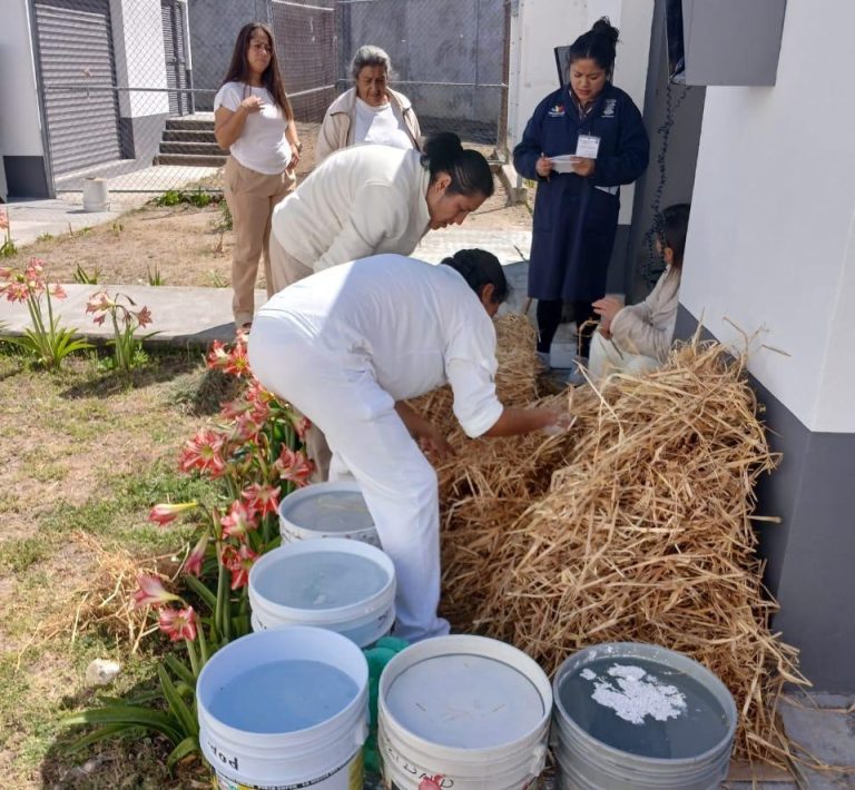 Mujeres privadas de la libertad cultivan setas en Centro Penitenciario de Zitácuaro