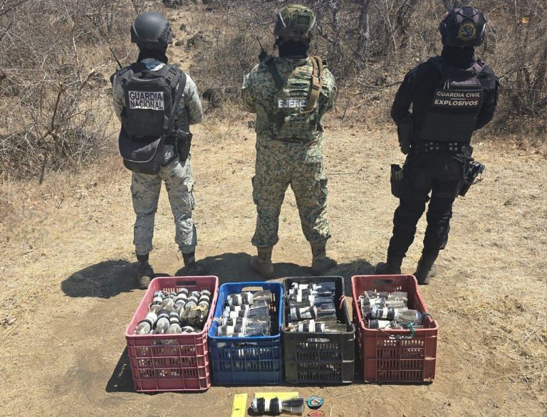 Desactivan 168 explosivos y decomisan tres kilos de pólvora y uno de clorato de potasio, en Tierra Caliente
