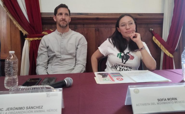 Erradicar la tauromaquia no significará el fin de los toros de lidia, dicen activistas