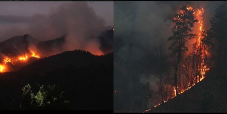 Michoacán, segundo lugar de estados con más incendios en activo, con 12, solo superado por Chihuahua