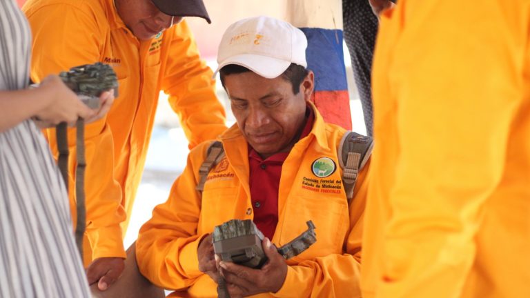 Michoacán refuerza protección del jaguar con acciones en la Sierra-Costa