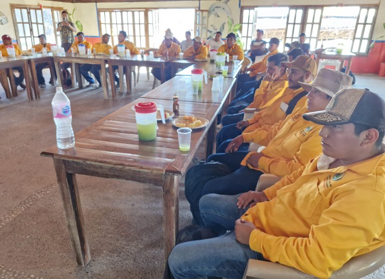 Brigadistas llevarán a cabo monitoreo de la fauna silvestre en zonas sin incendios