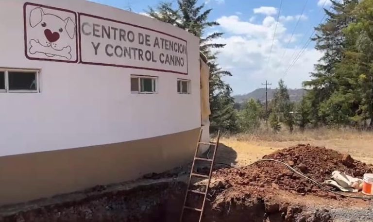 Reviven el Centro de Atención y Control Canino de Quiroga, tras años de abandono