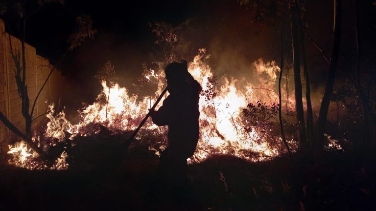 Se registra nuevo incendio en la Loma de Santa María