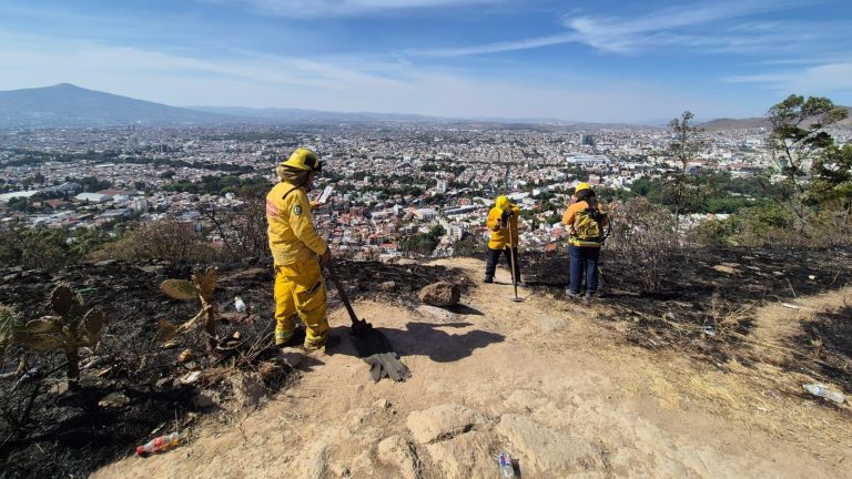 Bomberos estatales y brigadistas trabajan en la zona del incendio en la loma de Santa María
