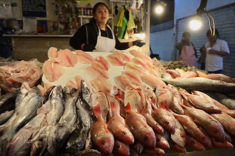 Llaman a adquirir productos pesqueros en establecimientos confiables