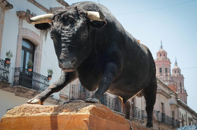 Llama Tauromaquia Mexicana a una discusión incluyente y fundamentada sobre destino de la fiesta brava