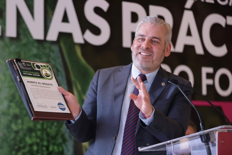 Certificado con Proforest Avocado, el 67 % del aguacate exportado a EUA: Bedolla