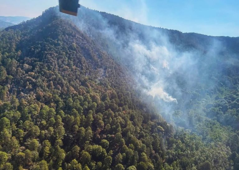 Se ha avanzado en la política ambiental en Michoacán, dice Ramírez Bedolla