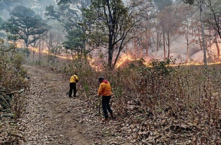 Incendio forestal en Tuxpan se atiende con brigadistas en helicópteros: gobernador