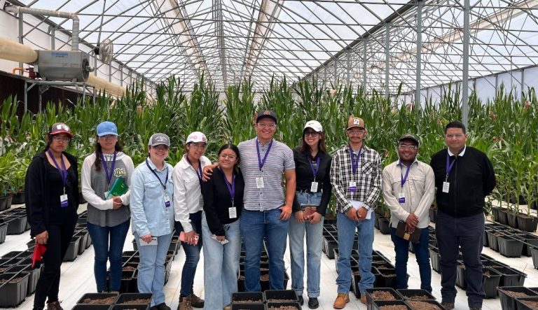 Tecnológico del Valle de Morelia, institución beneficiada con becas “Jóvenes Escribiendo el Futuro”