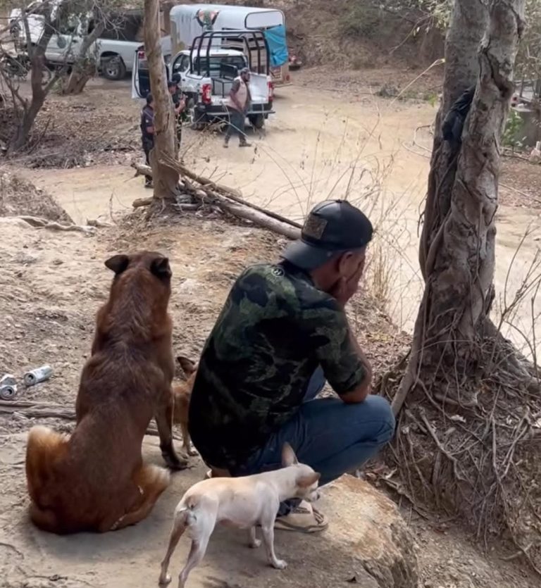 Despedida con lágrimas: Don Chago Gallo pierde a sus venados tras operativo de Profepa