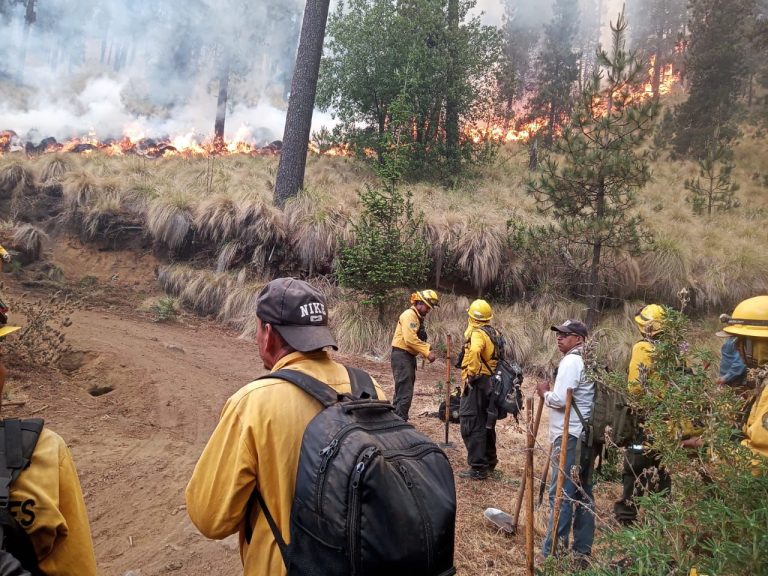 Sin incendios activos en Michoacán; brigadistas logran control de siniestros