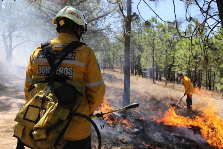 Brigadas apagan 9 incendios forestales y controlan 6: Cofom
