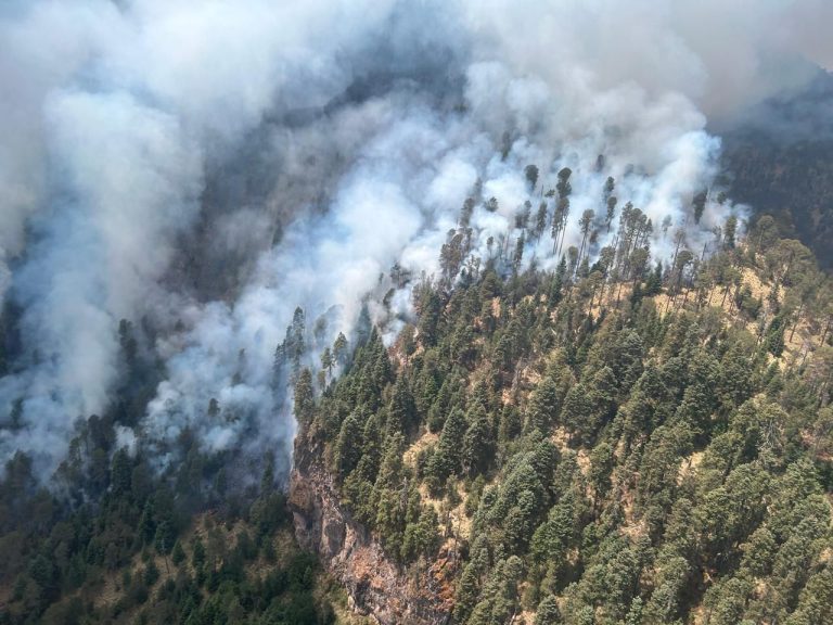 Menos incendios se registraron esta temporada en Michoacán