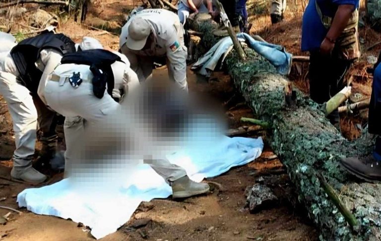 Muere leñador nonagenario al caerle un árbol encima, en una zona boscosa de la comunidad indígena de Santa Fe de la Laguna