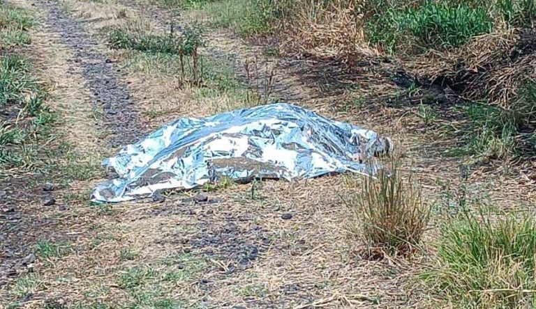 Un presunto ladrón abatido y otro detenido, al enfrentarse contra la policía en Zamora