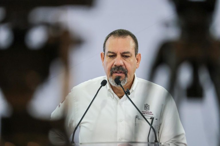 Michoacán reduce deforestación por aguacate 66 %