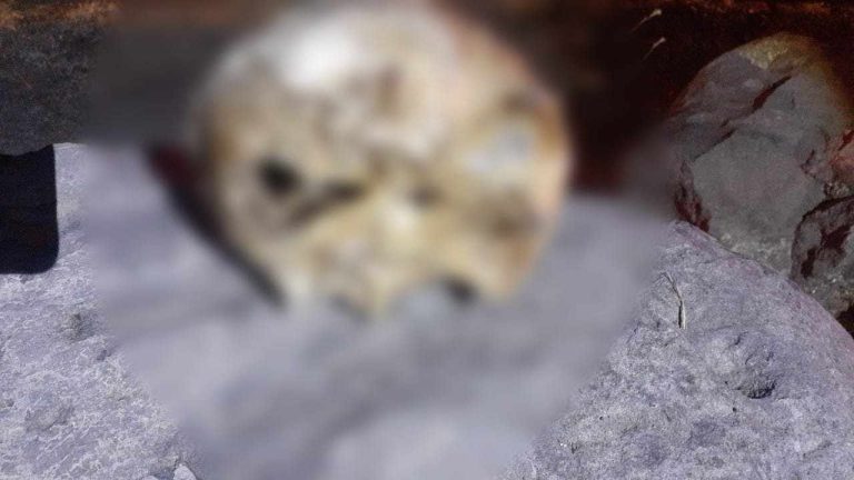 Encuentran un cráneo humano a la orilla de la carretera Morelia-Atécuaro