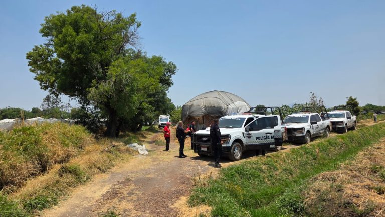 Grave campesino baleado en parcelas de San José El Platanal, Jacona