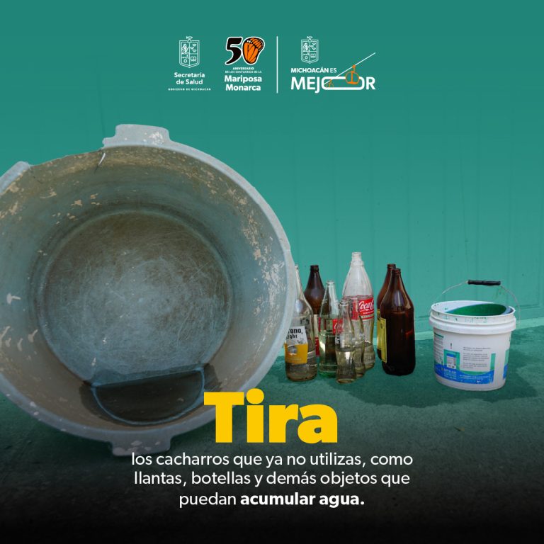 En temporada de lluvias, exhortan autoridades reforzar la prevención contra el dengue