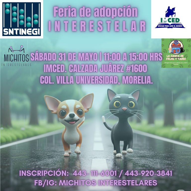 “15 corazones peludos buscan un hogar: Feria de adopción interestelar será este sábado”