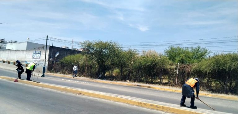 Brigadas de la Secretaría de Servicios Públicos intervienen camellones al Norte de Morelia