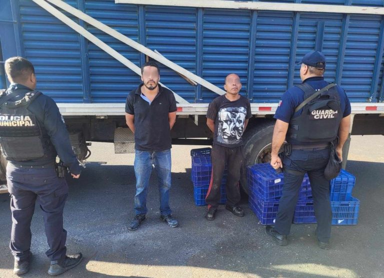Detienen a dos presuntos ladrones de aguacates en la región de Pátzcuaro