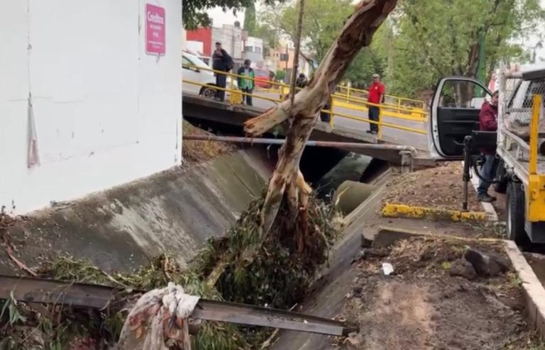 Supervisa Alfonso Martínez, jornada de limpieza; retiran escombros, maleza y basura
