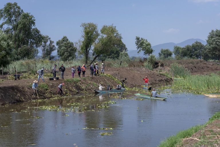 Avanza recuperación del canal de Erongarícuaro con trabajo de manos michoacanas