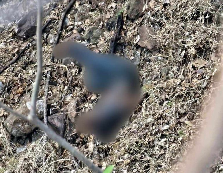 Encuentran el cuerpo en estado de descomposición en Apatzingán