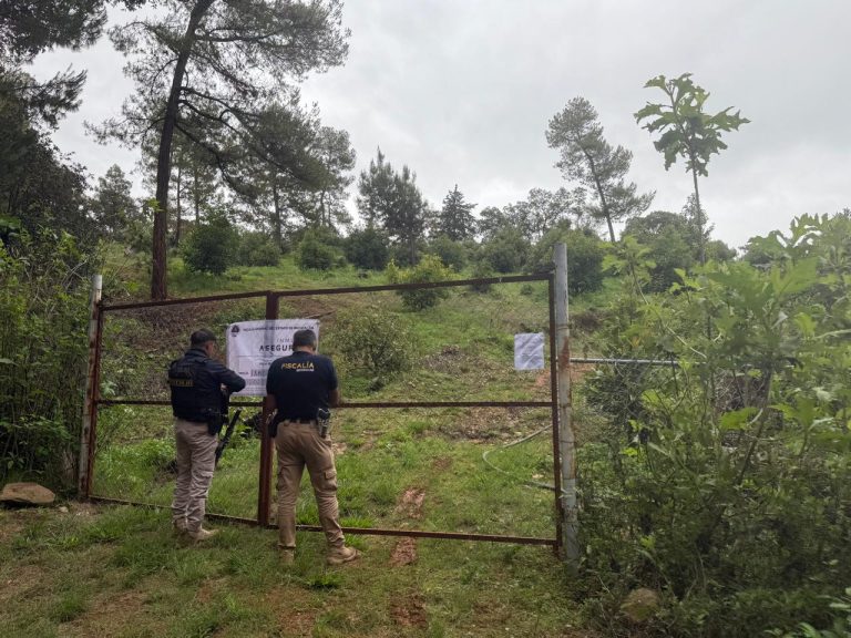 En cateo realizado en Erongarícuaro, asegura Fiscalía General predio por delitos contra el ambiente