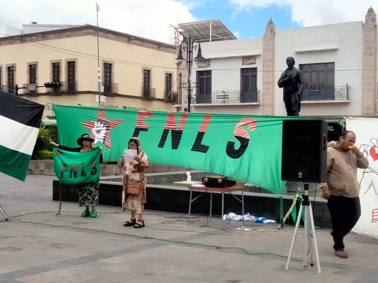 Sin eco ni respaldo, el FNLS realiza manifestación a favor de Palestina en Morelia