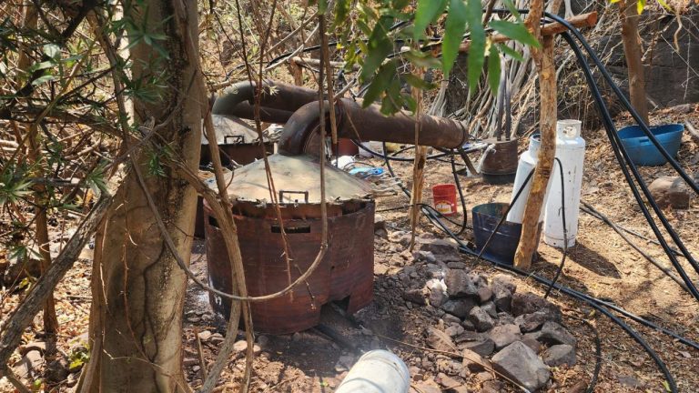 Más de 470 kg de droga asegurada en el mes de mayo: SSP