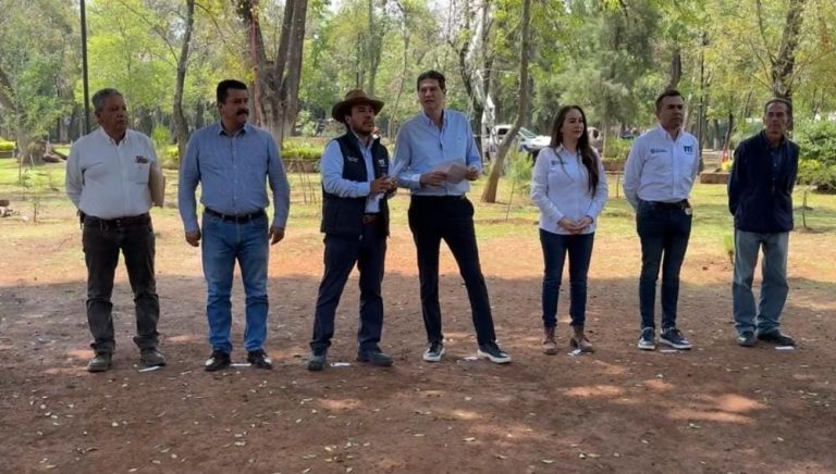 Inicia poda sanitaria: ayuntamiento contempla atender 7 mil árboles plagados