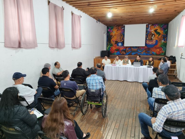Casart inicia acciones para lograr indicación geográfica de guitarras de Paracho