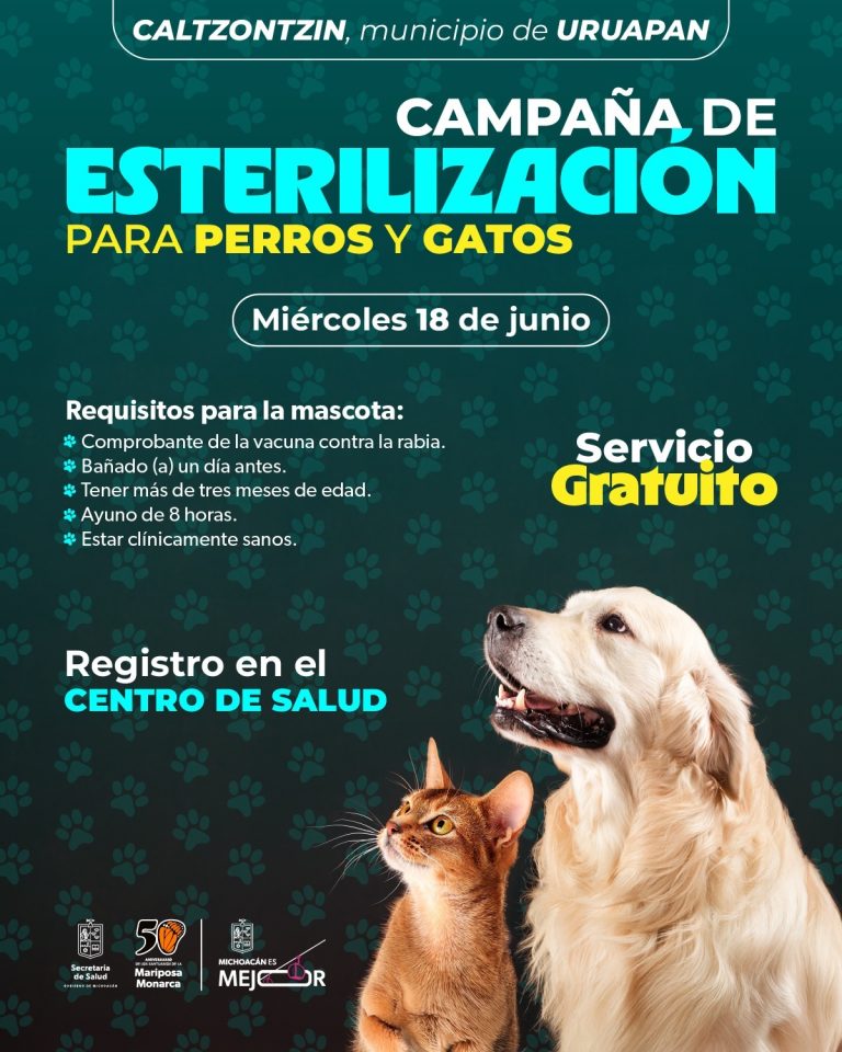 Jornadas de esterilización gratuitas para perros y gatos en Caltzontzin y Tomendán