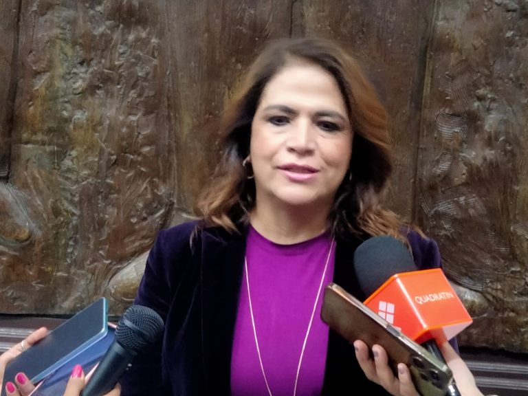 Desaparición de OPLEs no forma parte de la reforma electoral, asegura Fabiola Alanís