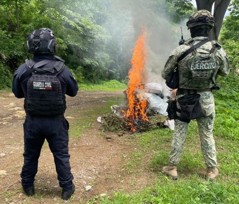 Localizados 16 costales de marihuana en Tuzantla