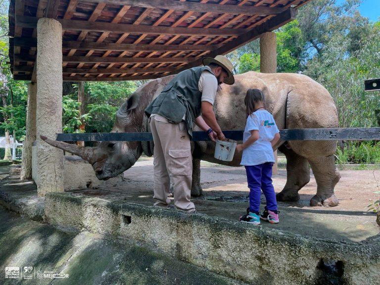 Disfruta un verano de aventura en el Zoológico de Morelia