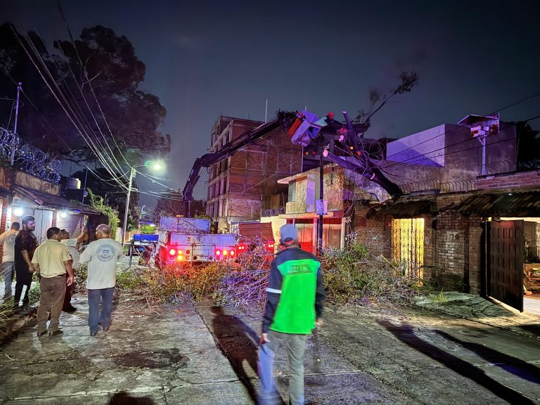Retira Ayuntamiento de Morelia árboles caídos por lluvias