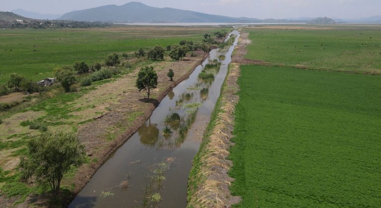 Rescate del canal de Erongarícuaro revitaliza ecosistema y economía local